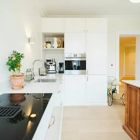 Renovated Flat In A Classic Building Grunerlokka Lägenhet *